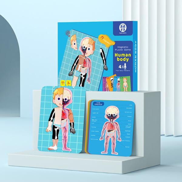 48Pcs Kids Magnetic Puzzles Human Anatomy Puzzle Montessori Body Parts Jigsaw