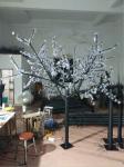 led trees outdoor