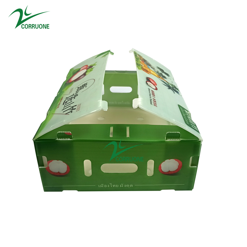 PP Corrugated plastic box vegetable fruit box