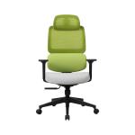 Ergonomic 3D Adjustable Arms Office Chair With Footrest BIFMA Standard