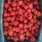 Good Quality IQF Strawberry Whole