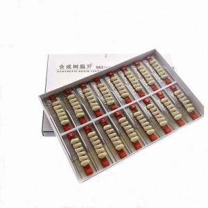 Quality High Durability Acrylic Resin Composite Dental Teeth wholesale