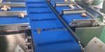 TOUPACK Belt Scale Conveyor