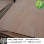 Bintangor plywood