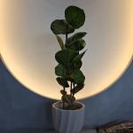 100cm Artificial Coccoloba Tree UV Resistant