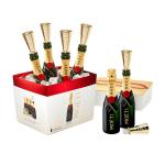 Light Weight Portable Wine Bottle Spout Champagne Sipper