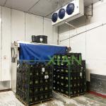 Deep Freezer/Chiller/Cool/Cold Modular Storage Room for Meat/Vegetables/Fish