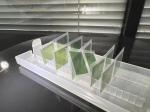 10 x 10 x 0.5mm Silicon Carbide Wafer 4H - N SiC Crystal Chips