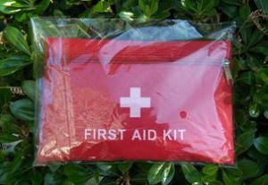 Quality small first aid kit bags wholesale