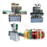 1500BPH 2L Fully Automatic Carbonated Drink Filling Machine PET Plastic Bottle