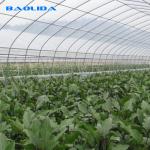 Agricultural PE Film Polyethylene Plastic Sheeting Greenhouse Commercial
