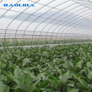 Quality Agricultural PE Film Polyethylene Plastic Sheeting Greenhouse Commercial wholesale