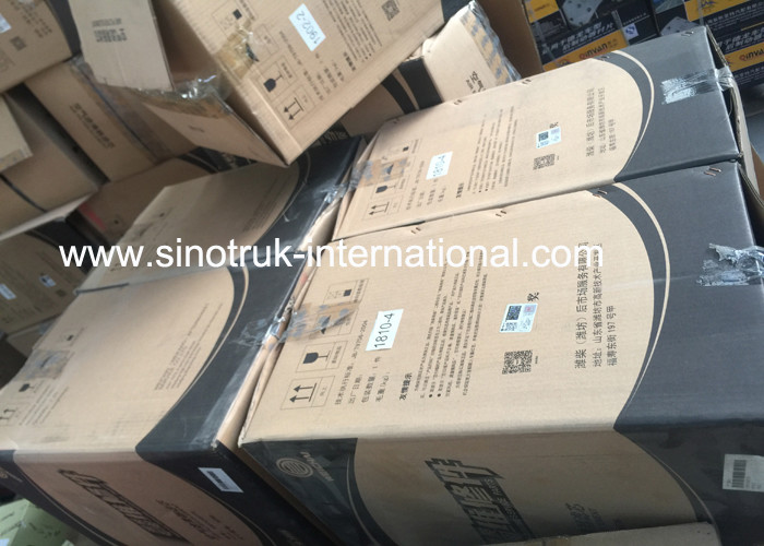 Heavy Duty Truck Spare Parts WEICHAI Air Filter 4110000006003 (1109070-K3250A)