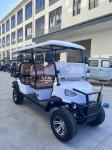 Electric New Power Steering Golf Truck Cheap Price Evolution Small Golf Cart