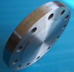 Standard din a182 f304l blind flange