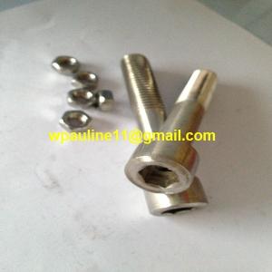 Quality 316L hex socket bolt wholesale