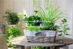 wicker basket manufacturer wicker garden basket willow plant baskets stock fast