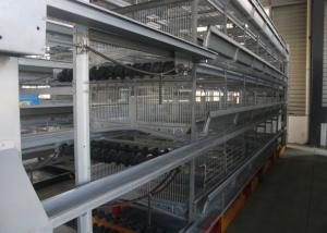 Quality Durable Poultry Keeping Equipment For Large Scale Production Chicken Farming wholesale