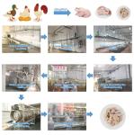 stainless steel Goose Slaughter Machine 200BPH - 12000BPH Poultry Processing