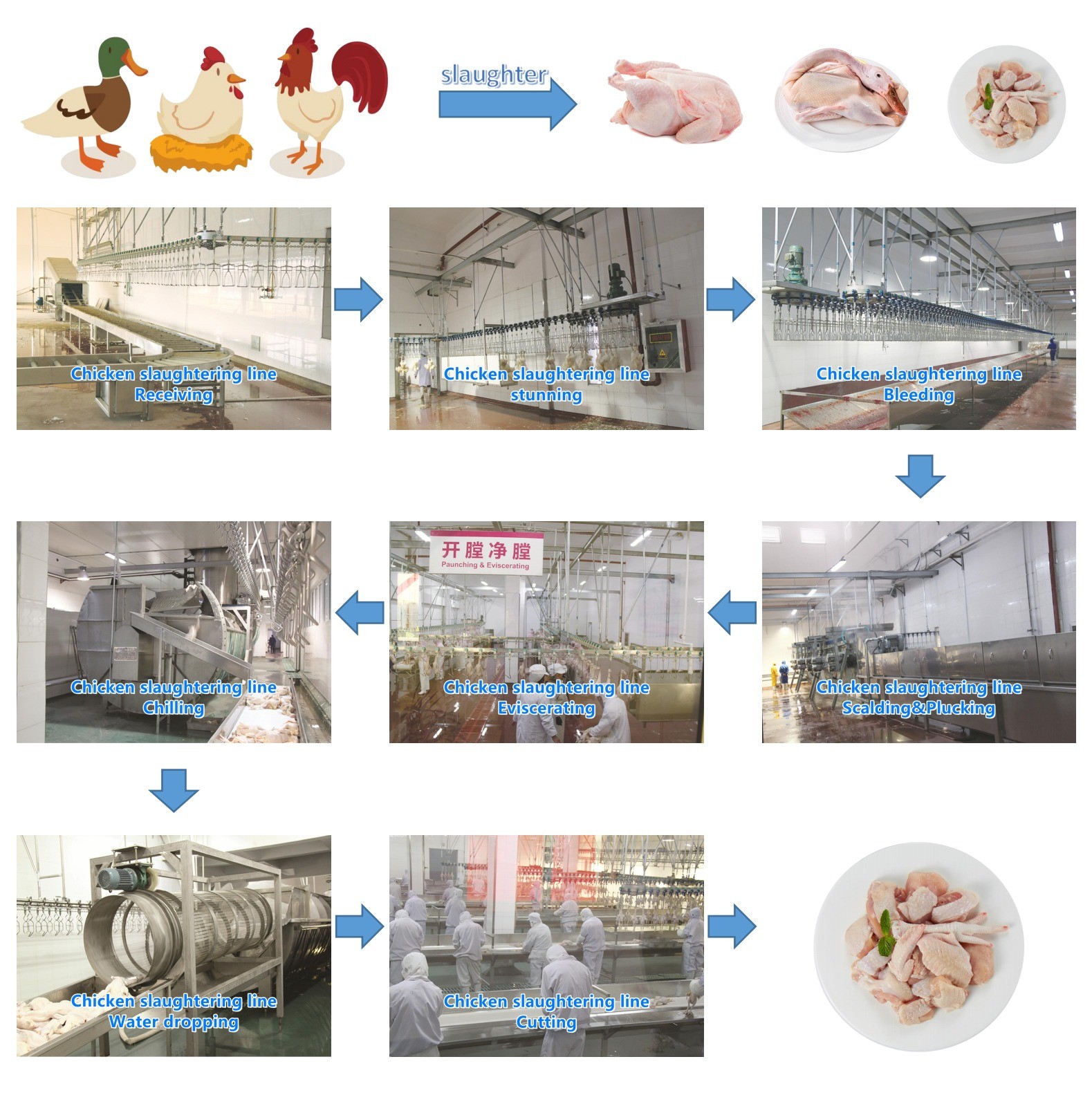 Large Spiral Screw Pre Chiller Machine For Poultry Processing Plant Machinery