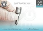 DLLA143P1619 Bosch Common Rail Nozzle For Injectors 0445120089