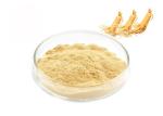 Natural Ginseng Extract Powder