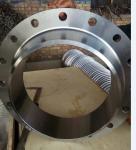 316l stainless steel flange astm a351 cf3m weld neck flange