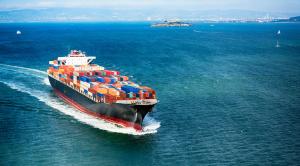 Quality MATSON COSCO Customs Brokerage &amp; Clearance Professional Customs Clearance Agent wholesale