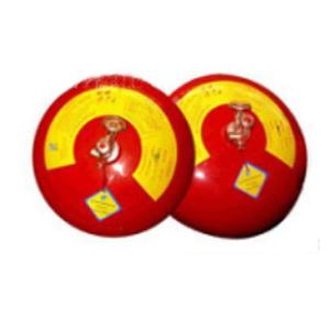 Quality No Damage 2kg Automatic Powder Fire Extinguisher wholesale