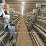 Automatic Battery Poultry Cage Cold Galvanized For Laying Chickens In Africa