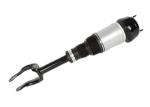 Front Car Suspension Shock Absorbers For Mercedes Benz W166 1663202613