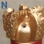 Petroleum PDC Oil Drill Bit