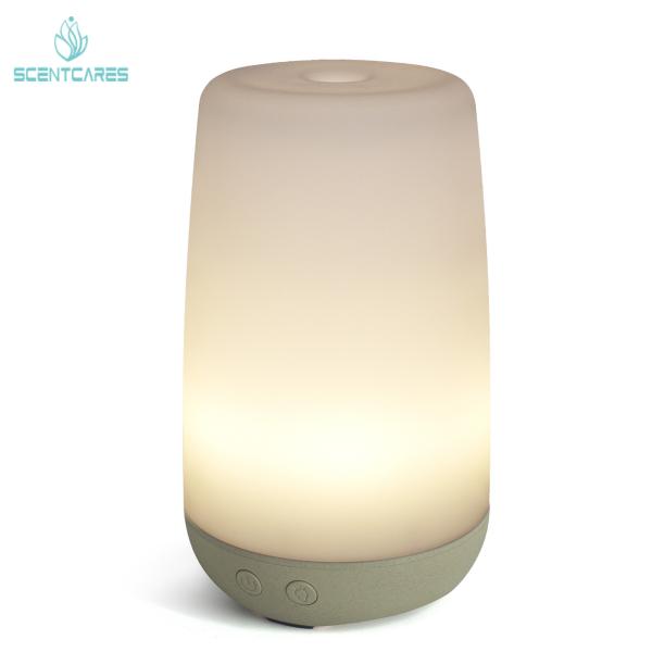 Cheap Moisturizing Spray 12W 100ML Essential Oil Diffuser With Led Light for sale
