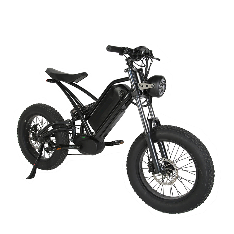 Disc Brake 2023 Style 20" Fat Tire Electric Enduro E-Bike for Off Road MTB Bicycle