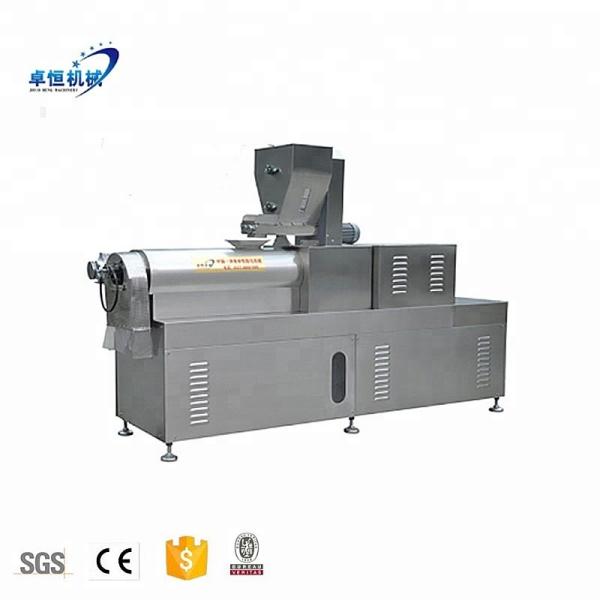 Core Components Pump Industrial Full Automatic Corn Flour Puff Snacks Food