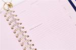 Cute Hardcover Spiral Planner Golden Wire Binding With Stickers / Pocket Folder