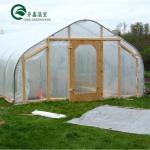 Commercial Film Covered Single Tunnel Greenhouse for Maximizing Agricultural