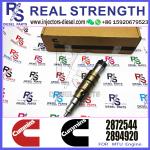 Common Rail Diesel Engine Fuel Injector 2031835 1933613 2872544