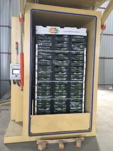 Quality Easy Operation Vacuum Cooler Vegetables Flowers For Fresh Produces wholesale