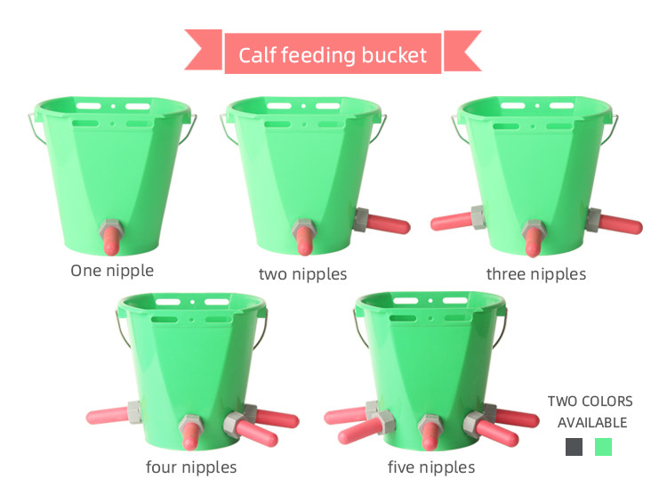 Green / Gray 8000ml Plastic Calf Feeding Bucket With Scale And Reinforced Rim