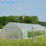 Single Span Growing UV Resistant 12m Tunnel Plastic Greenhouse