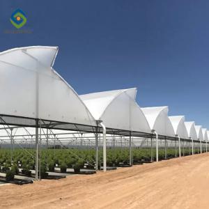 Quality Saw Tooth Roof Vents Span Plastic Film Greenhouse For Tropical Climate wholesale