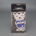 70x100mm Cotton Cards Freshener Paper With Hanging String