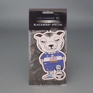 Quality 70x100mm Cotton Cards Freshener Paper With Hanging String wholesale