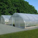 Agricultural Greenhouse Plastic Sheet Film Tunnel Single Span Cheap Greenhouse