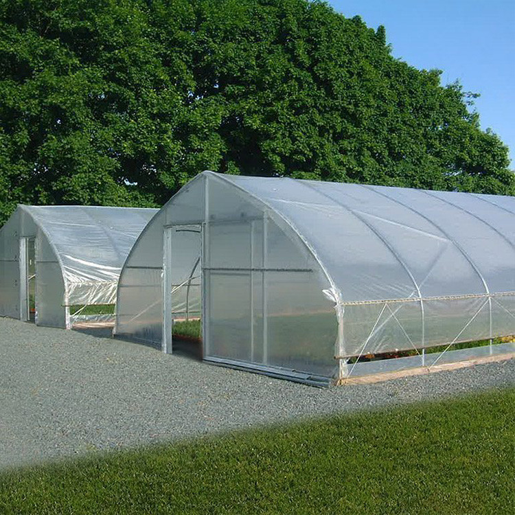 Plants Growing System Greenhouse Steel Pipe Structure Hoop Tunnel Plastic Greenhouse