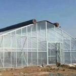 Customized Request Production Greenhouse Agricultural Multi-Span Plastic Tunnel