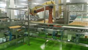 Quality Robot Depanner Continuous Hygiene Automatic Bread Production Line wholesale