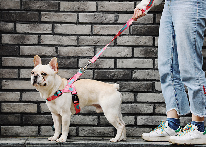 Comfortable Breathable Dog Harness Vest No Pull Adjustable Fantasy Pink Plaid Pet Leash