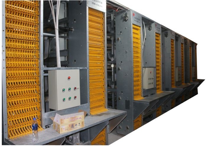 High Technology Automatic Egg Collection System 15-20 Years Lifespan